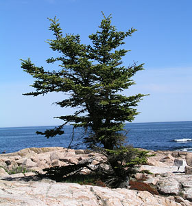 Relax in Maine at the Castine Inn.