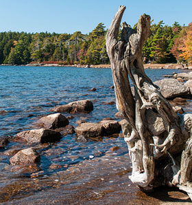 Relax in Maine at the Castine Inn.