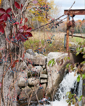 Relax in Maine at the Castine Inn.