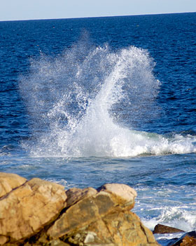 Relax in Maine at the Castine Inn.